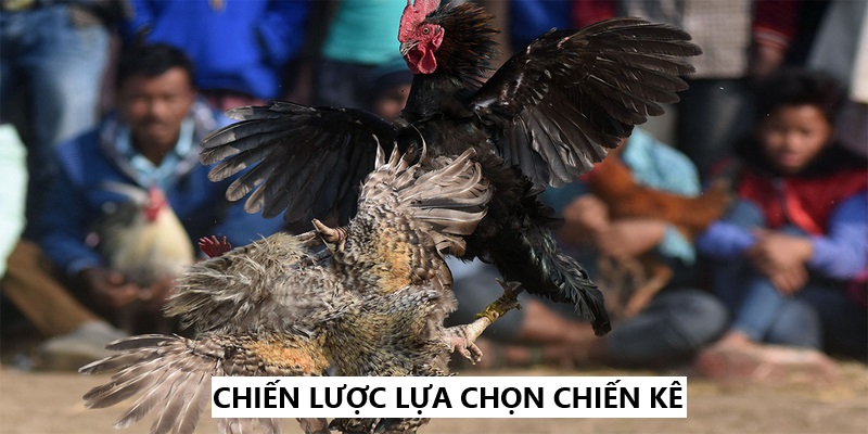 Chiến lược chính xác, phù hợp, khả năng chiến thắng càng đáng nể