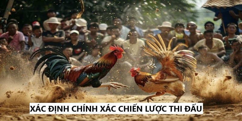 Xác định chiến lược thi đấu một cách chính xác